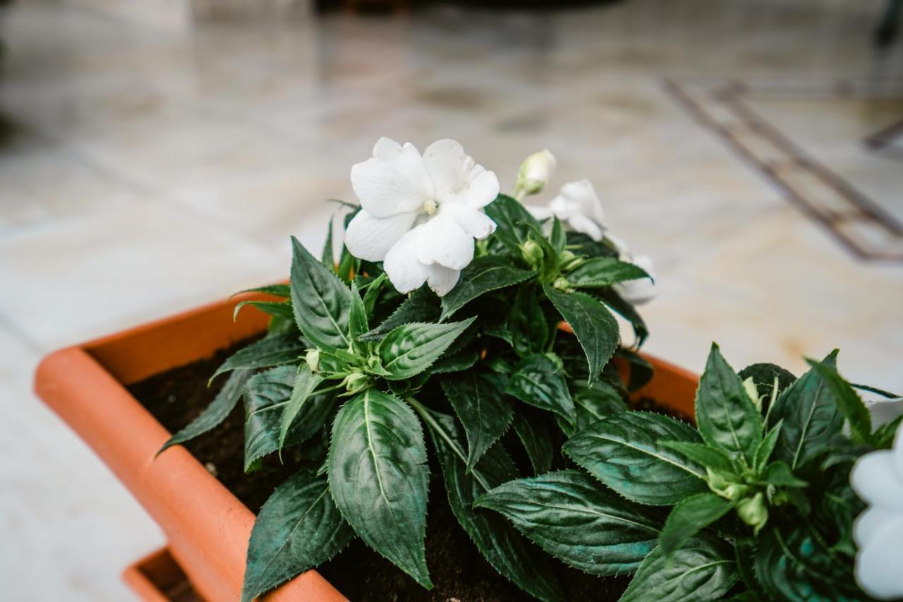 Veria Panorama Luxury Suite With Garden. Εξωτερικό φωτογραφία